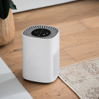 Lumair Air Purifier