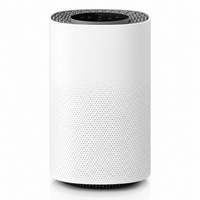 Lumair Air Purifier